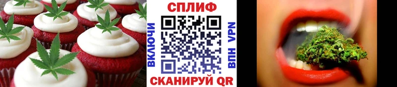 наркотики  Новомосковск  Cannafood конопля 
