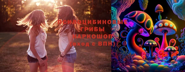 ПСИЛОЦИБИНОВЫЕ ГРИБЫ Армянск