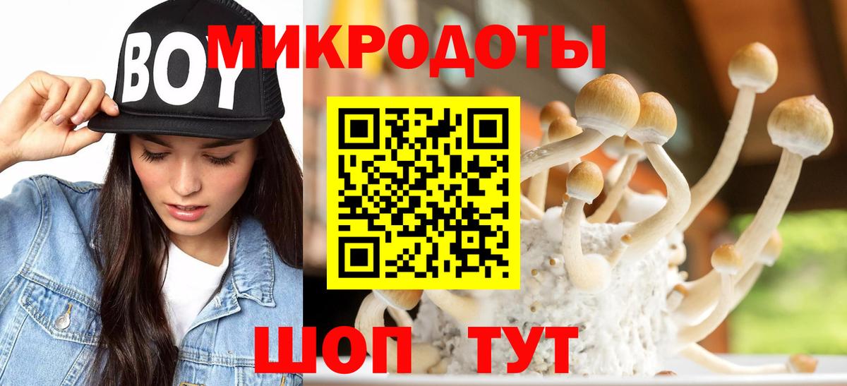 Галлюциногенные грибы Cubensis  Псилоцибиновые грибы Magic Shrooms  Вход с VPN  Новомосковск 