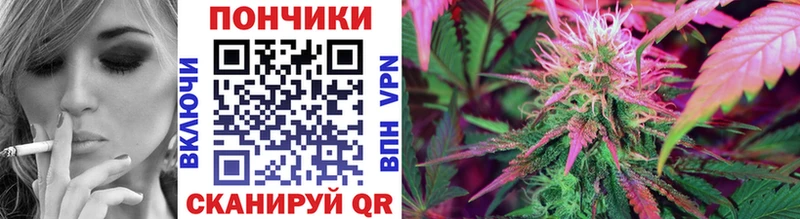 сайты даркнета состав  купить наркотики сайты  Новомосковск  Канабис марихуана 